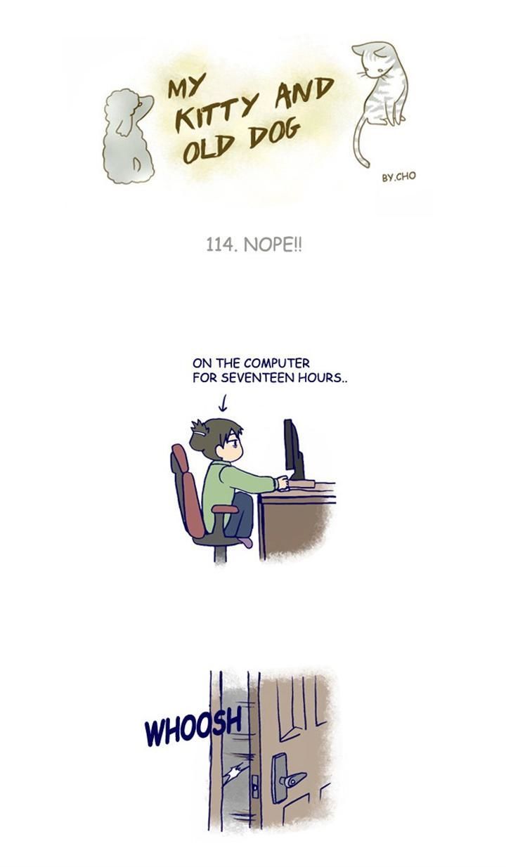 My Young Cat and My Old Dog Chapter 114 page 1 - Chapter 114 : Nope!!