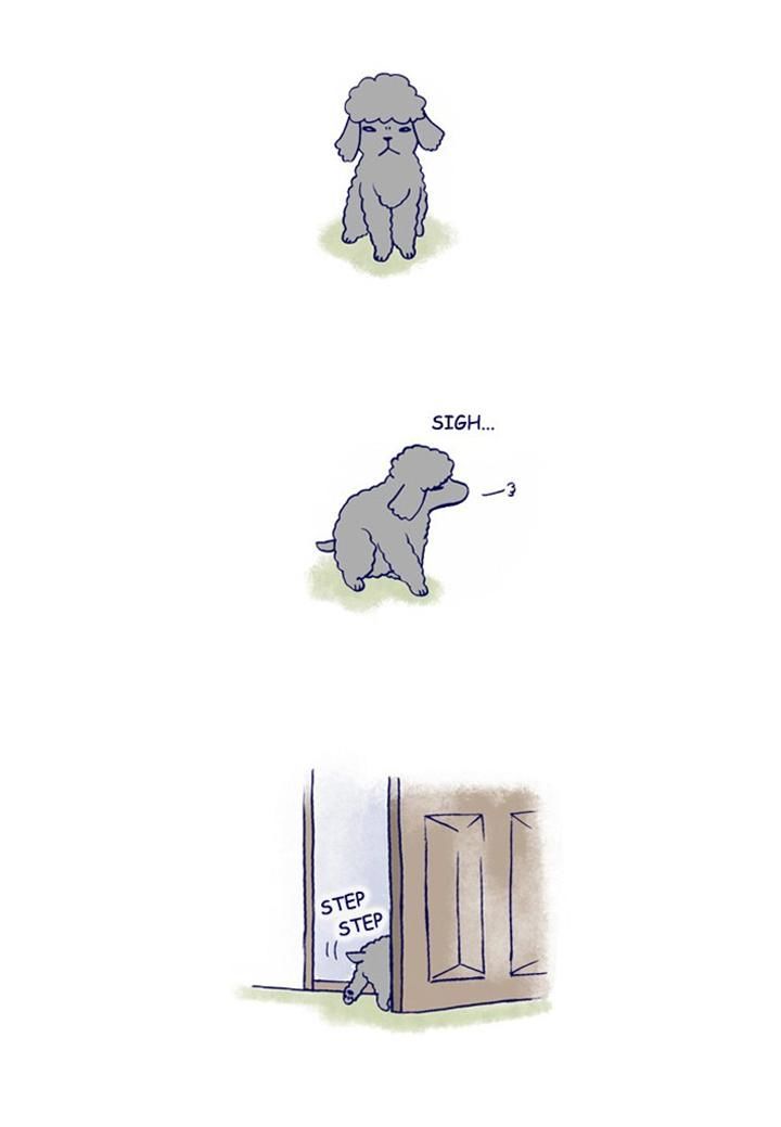 My Young Cat and My Old Dog Chapter 114 page 3 - Chapter 114 : Nope!!