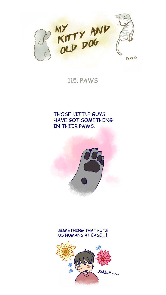 My Young Cat and My Old Dog Chapter 115 page 1 - Chapter 115 : Paws