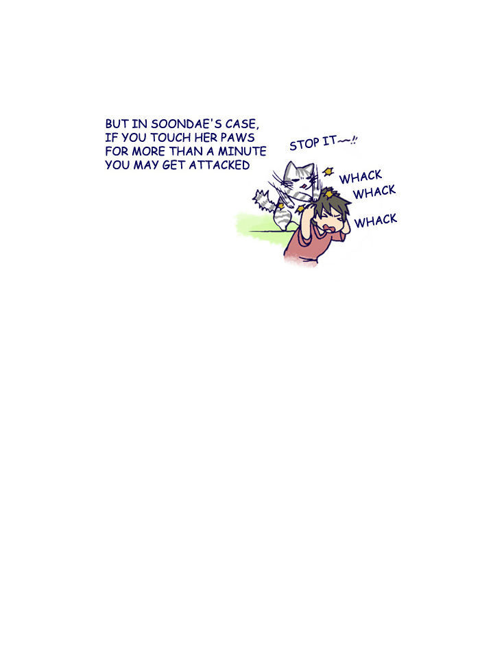My Young Cat and My Old Dog Chapter 115 page 5 - Chapter 115 : Paws
