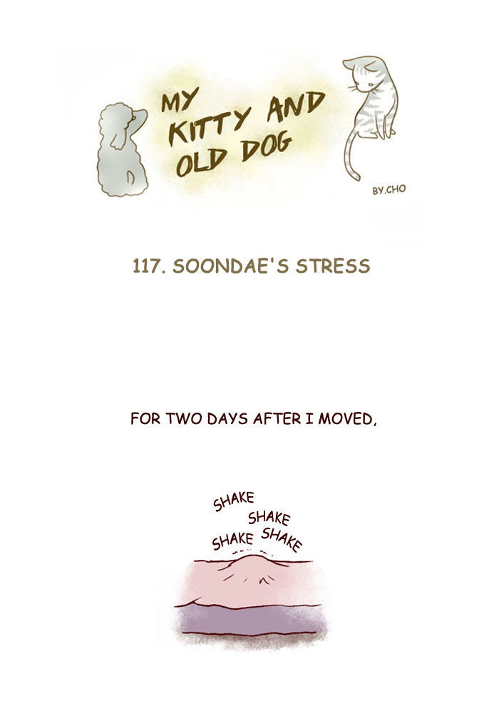 My Young Cat and My Old Dog Chapter 117 page 1 - Chapter 117 : Soondae's Stress