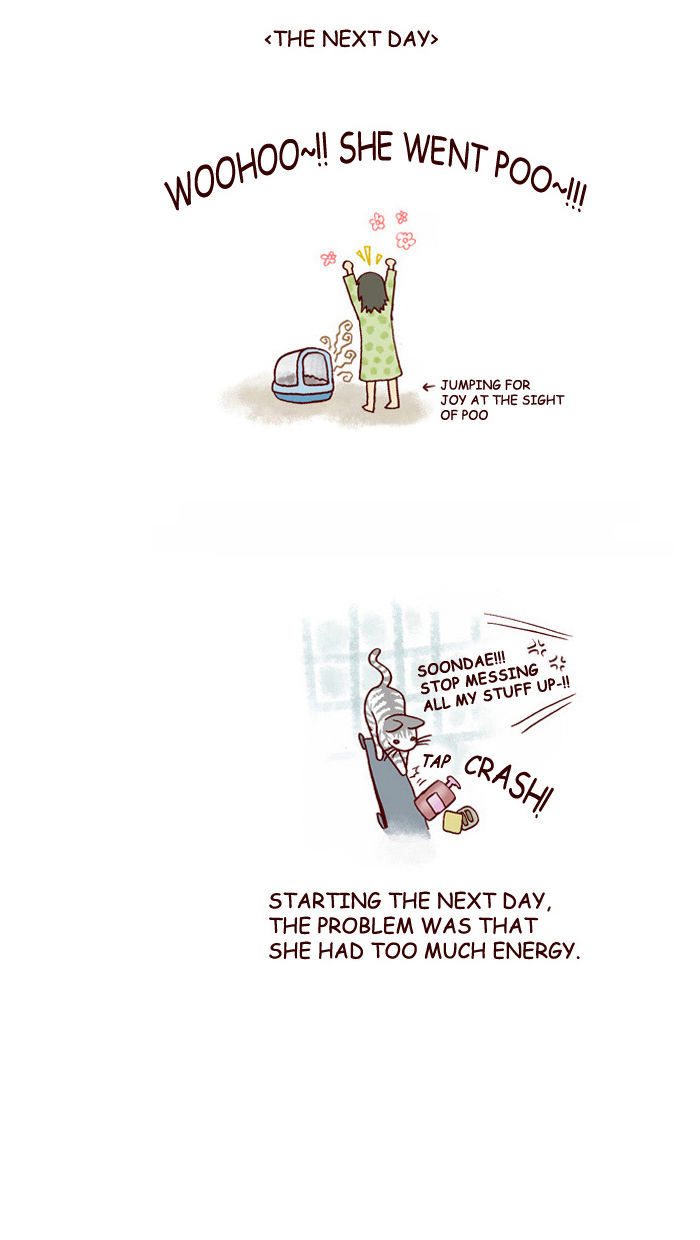 My Young Cat and My Old Dog Chapter 117 page 5 - Chapter 117 : Soondae's Stress