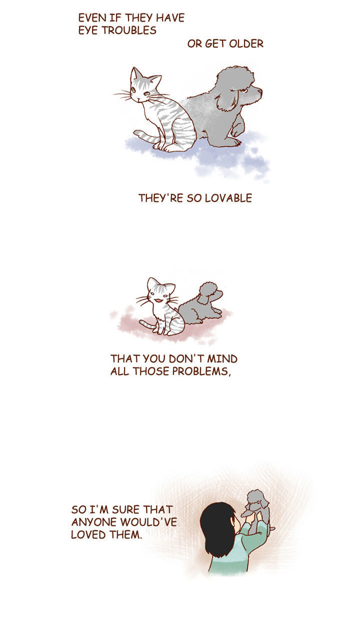 My Young Cat and My Old Dog Chapter 118 page 4 - Chapter 118 : Those Kinds of Thoughts