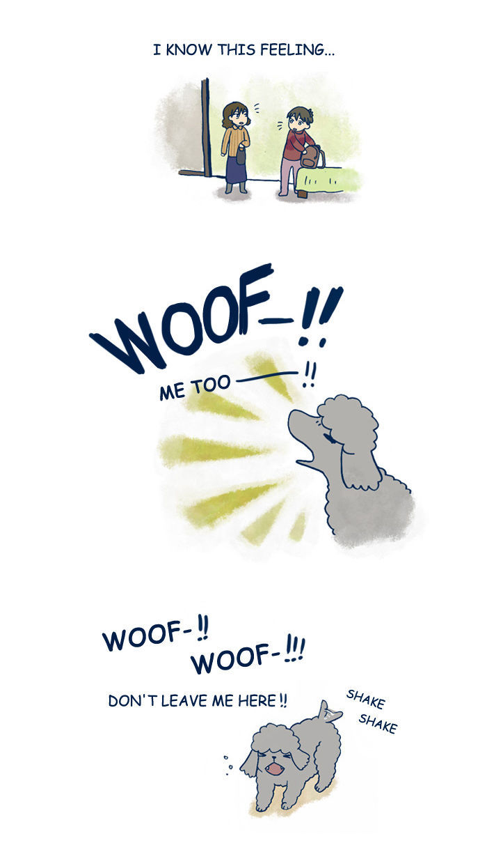 My Young Cat and My Old Dog Chapter 119 page 3 - Chapter 119 : The Weekend