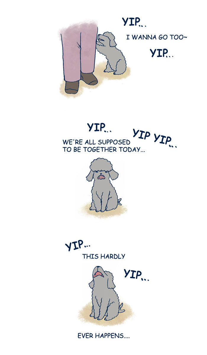 My Young Cat and My Old Dog Chapter 119 page 4 - Chapter 119 : The Weekend