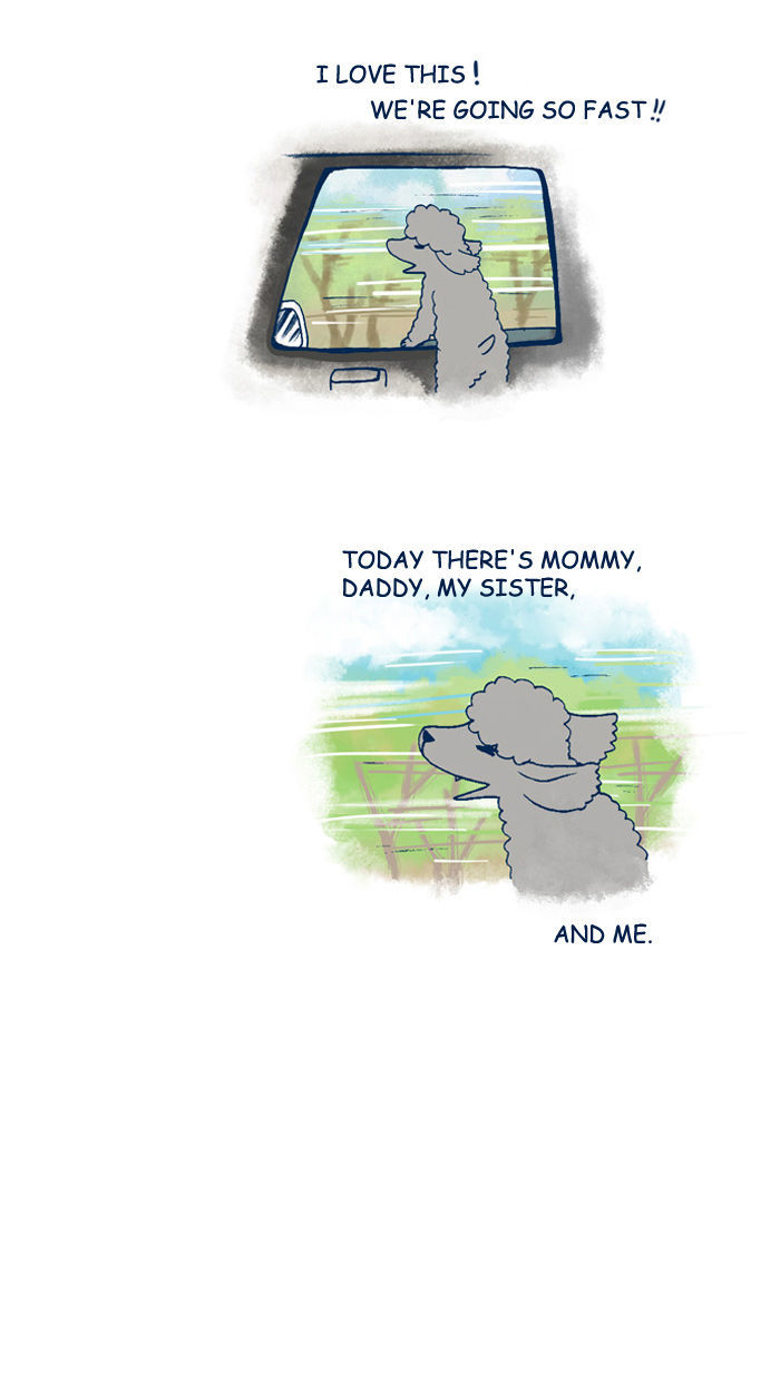 My Young Cat and My Old Dog Chapter 119 page 6 - Chapter 119 : The Weekend