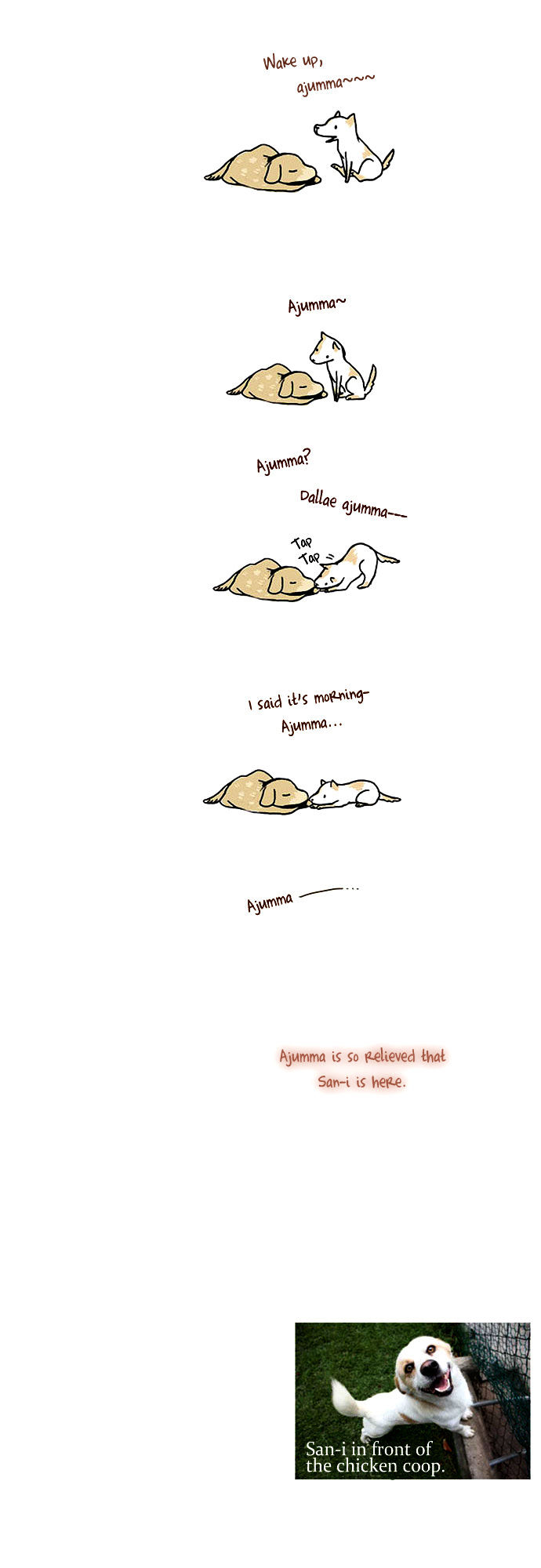 My Young Cat and My Old Dog Chapter 12 page 5 - Chapter 12 : Dallae