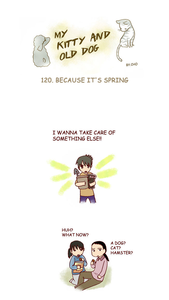 My Young Cat and My Old Dog Chapter 120 page 1 - Chapter 120 : Because It's Spring