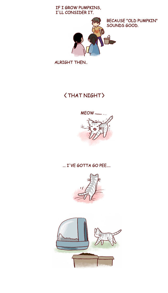 My Young Cat and My Old Dog Chapter 120 page 3 - Chapter 120 : Because It's Spring