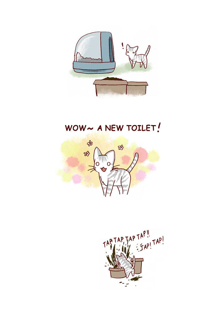 My Young Cat and My Old Dog Chapter 120 page 4 - Chapter 120 : Because It's Spring