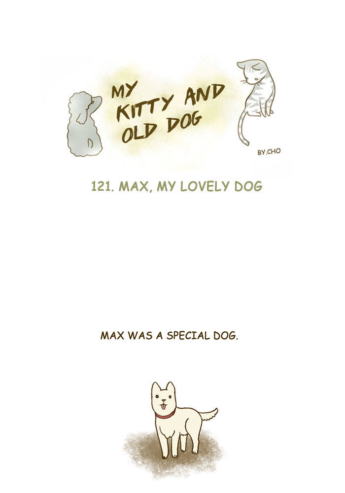 My Young Cat and My Old Dog Chapter 121 page 1 - Chapter 121 : Max, My Lovely Dog