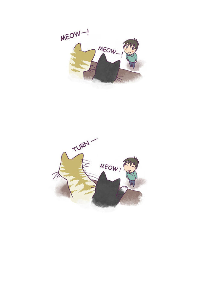 My Young Cat and My Old Dog Chapter 122 page 5 - Chapter 122 : Neighbors