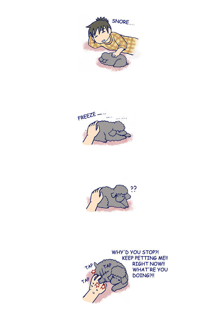 My Young Cat and My Old Dog Chapter 123 page 2 - Chapter 123 : Petting Slave