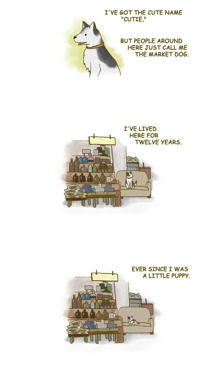 My Young Cat and My Old Dog Chapter 126 page 2 - Chapter 126 : Goodbye Neighbors