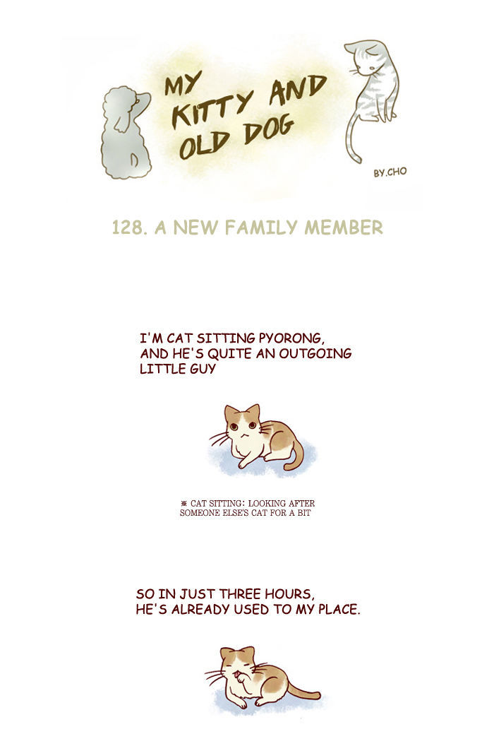 My Young Cat and My Old Dog Chapter 128 page 1 - Chapter 128 : A New Family Member