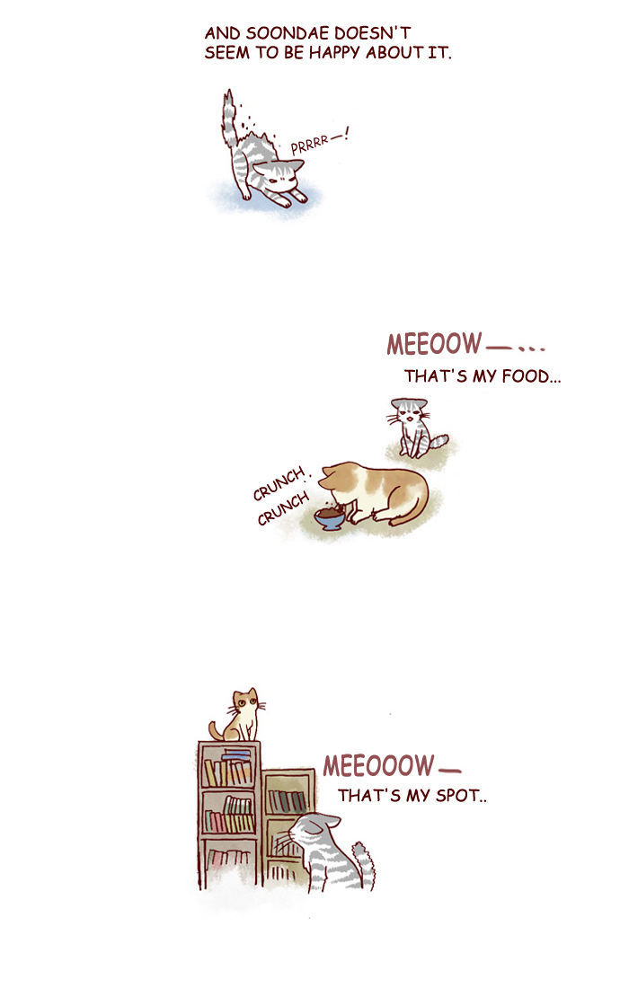 My Young Cat and My Old Dog Chapter 128 page 2 - Chapter 128 : A New Family Member