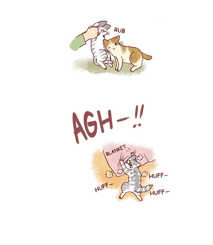 My Young Cat and My Old Dog Chapter 128 page 6 - Chapter 128 : A New Family Member