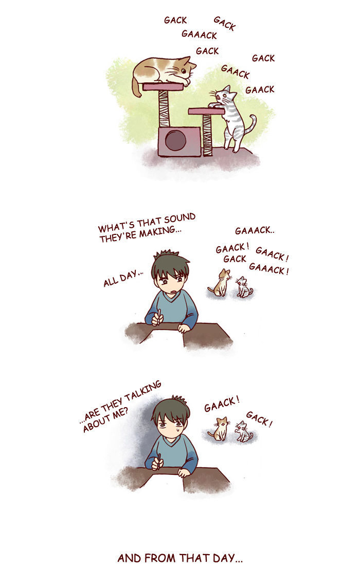 My Young Cat and My Old Dog Chapter 129 page 2 - Chapter 129 : Gack