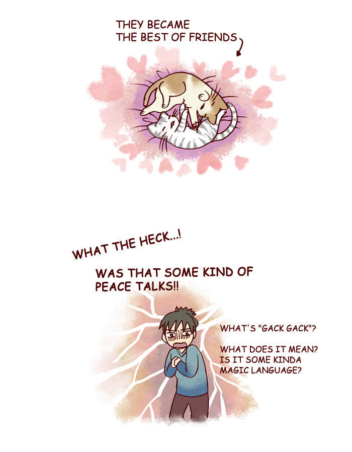 My Young Cat and My Old Dog Chapter 129 page 3 - Chapter 129 : Gack
