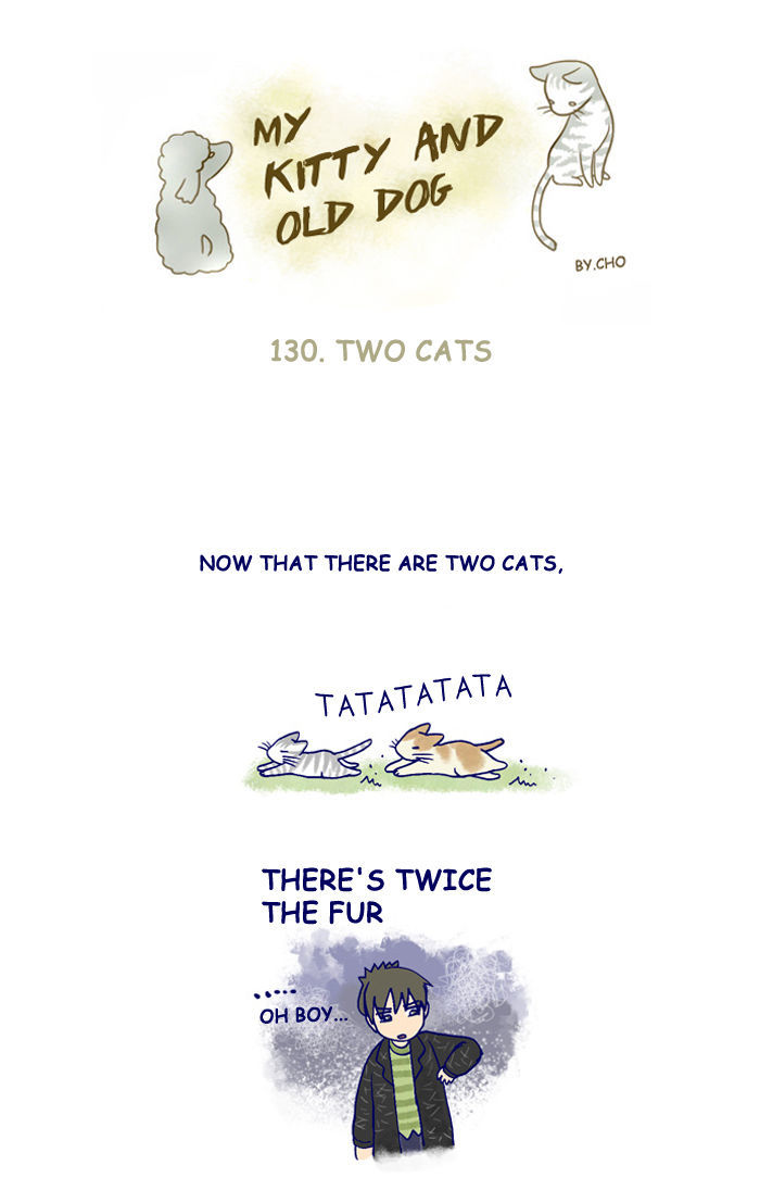 My Young Cat and My Old Dog Chapter 130 page 1 - Chapter 130 : Two Cats