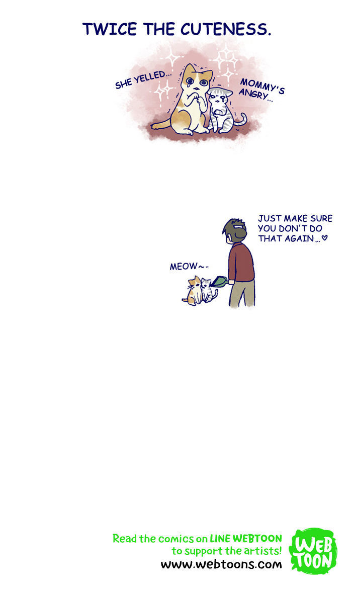 My Young Cat and My Old Dog Chapter 130 page 4 - Chapter 130 : Two Cats