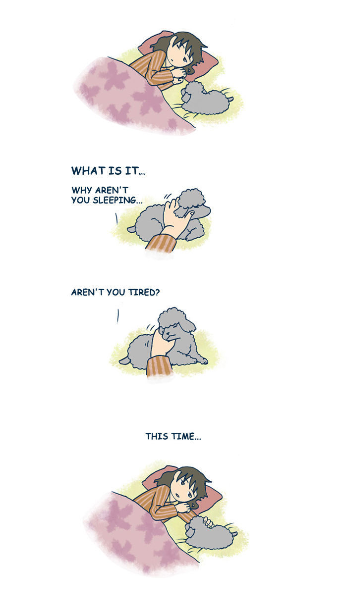 My Young Cat and My Old Dog Chapter 131 page 4 - Chapter 131 : Let's Sleep