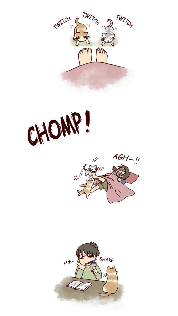 My Young Cat and My Old Dog Chapter 132 page 2 - Chapter 132 : Twitch Twitch