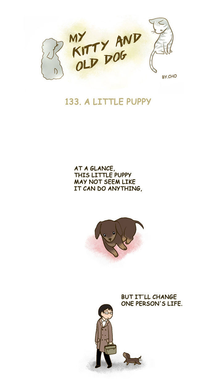 My Young Cat and My Old Dog Chapter 133 page 1 - Chapter 133 : A Little Puppy
