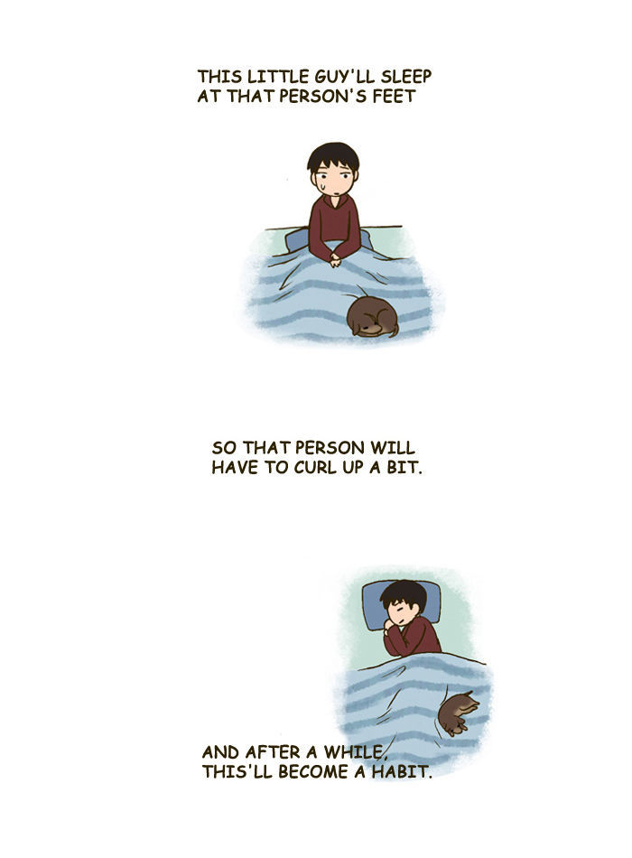 My Young Cat and My Old Dog Chapter 133 page 2 - Chapter 133 : A Little Puppy