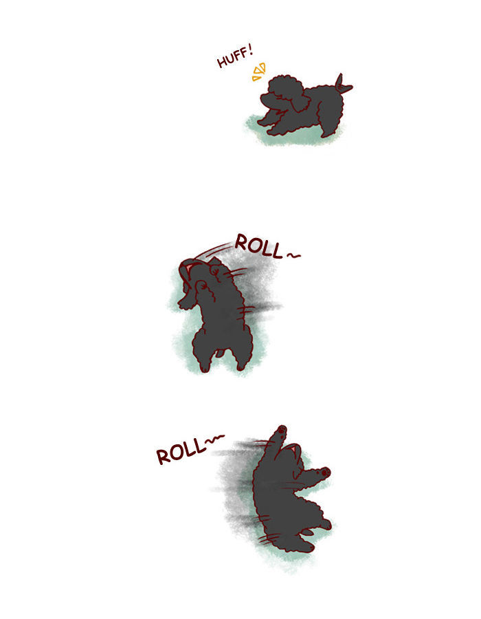 My Young Cat and My Old Dog Chapter 134 page 2 - Chapter 134 : Rolling Around
