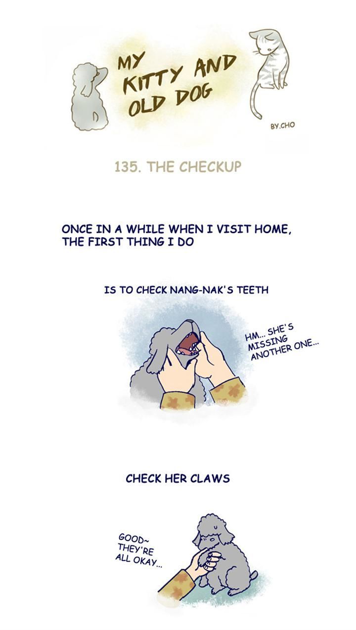My Young Cat and My Old Dog Chapter 135 page 1 - Chapter 135 : The Checkup
