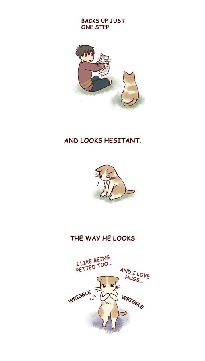 My Young Cat and My Old Dog Chapter 136 page 2 - Chapter 136 : Sense