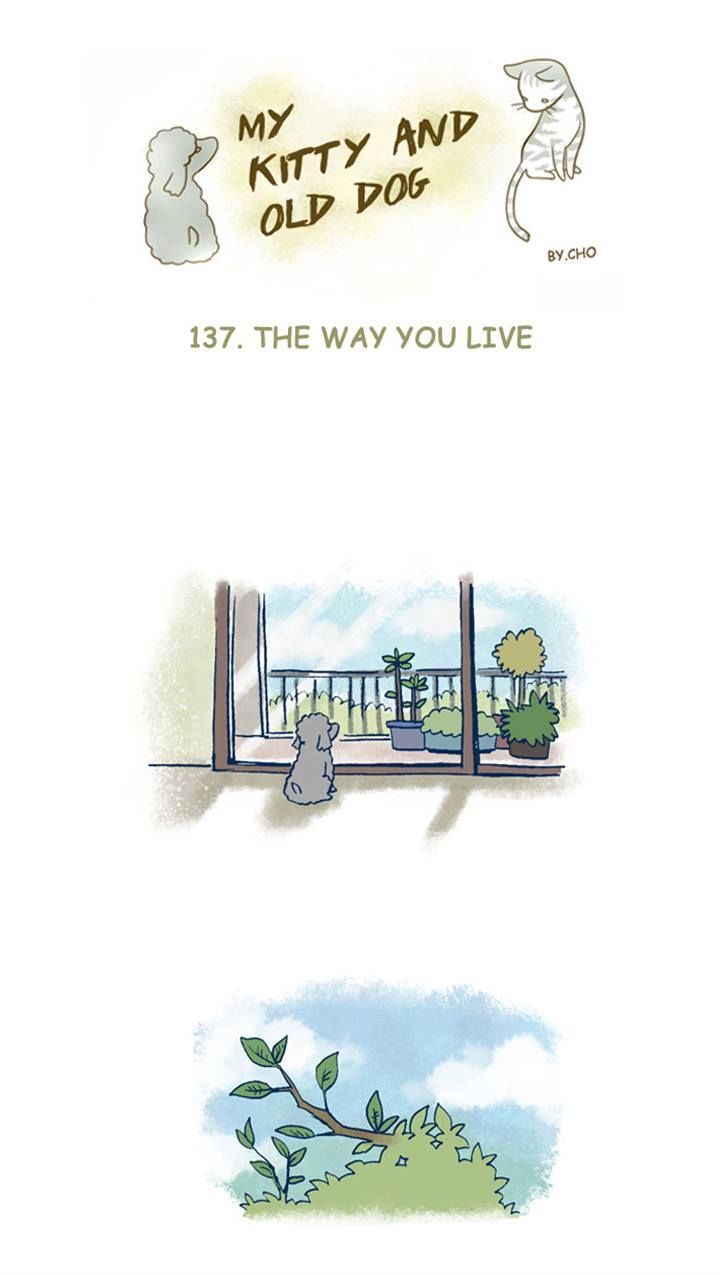 My Young Cat and My Old Dog Chapter 137 page 1 - Chapter 137 : The Way You Live