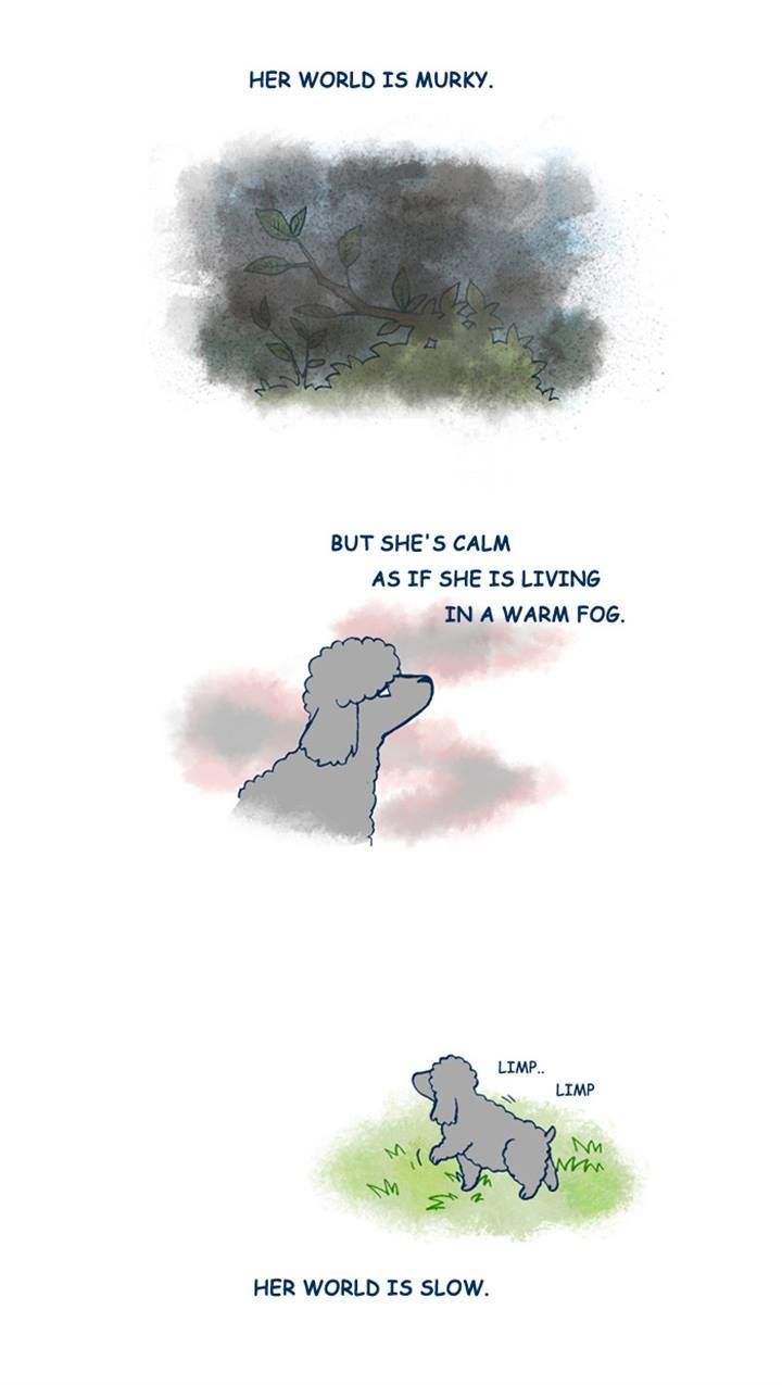 My Young Cat and My Old Dog Chapter 137 page 2 - Chapter 137 : The Way You Live