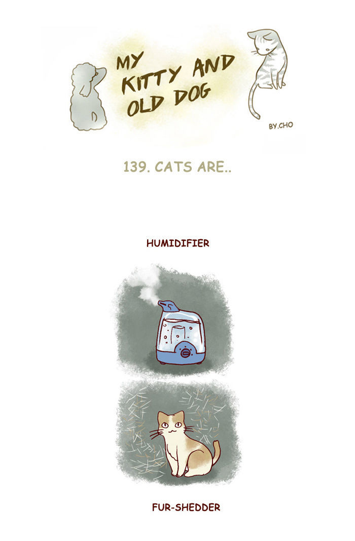 My Young Cat and My Old Dog Chapter 139 page 1 - Chapter 139 : Cats Are...