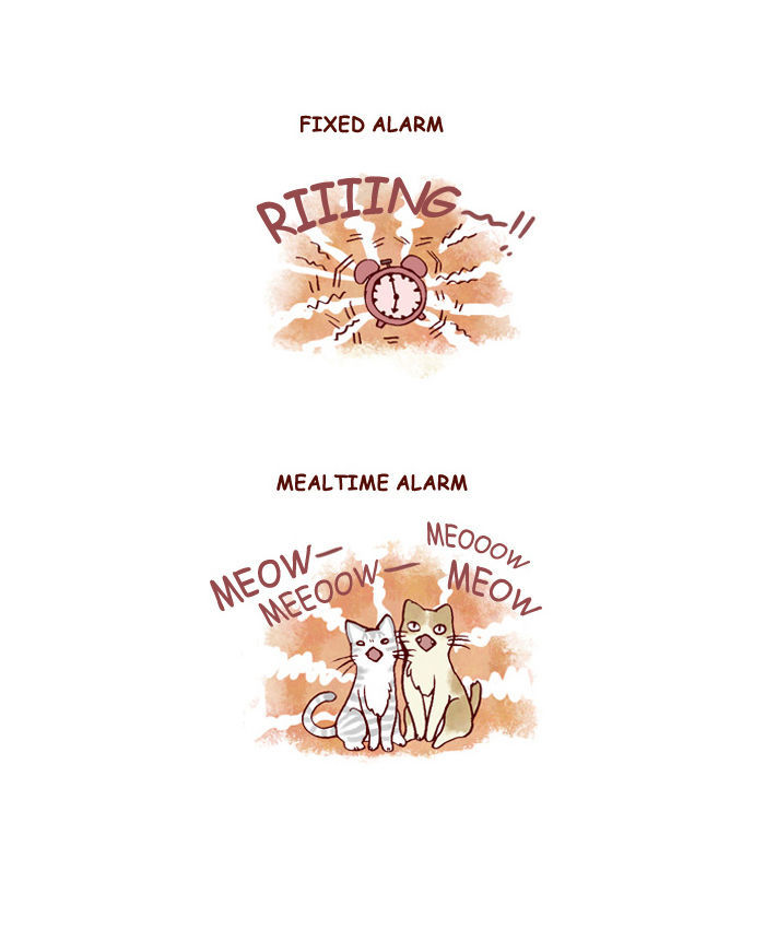 My Young Cat and My Old Dog Chapter 139 page 3 - Chapter 139 : Cats Are...
