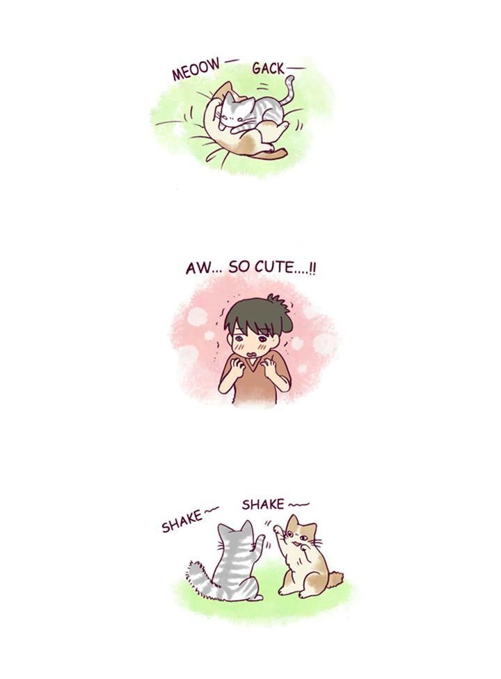 My Young Cat and My Old Dog Chapter 140 page 2 - Chapter 140 : Time Robbers