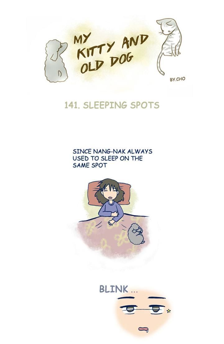 My Young Cat and My Old Dog Chapter 141 page 1 - Chapter 141 : Sleeping Spots