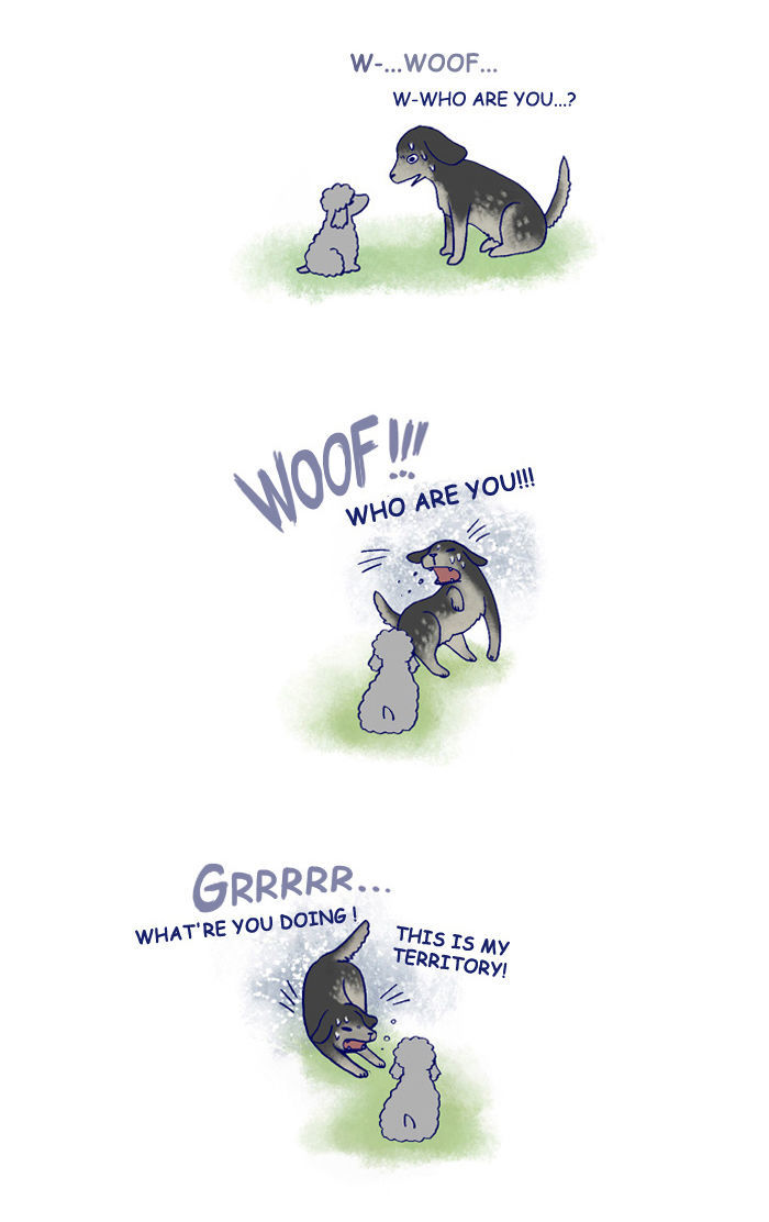 My Young Cat and My Old Dog Chapter 142 page 2 - Chapter 142 : Jaerong