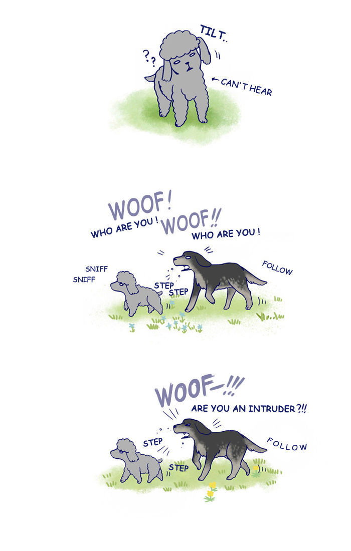 My Young Cat and My Old Dog Chapter 142 page 3 - Chapter 142 : Jaerong