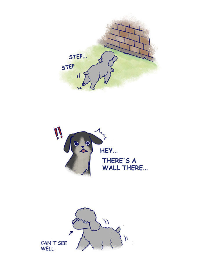 My Young Cat and My Old Dog Chapter 142 page 4 - Chapter 142 : Jaerong