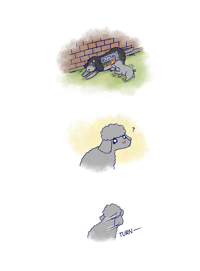 My Young Cat and My Old Dog Chapter 142 page 5 - Chapter 142 : Jaerong