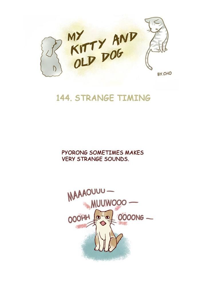 My Young Cat and My Old Dog Chapter 144 page 1 - Chapter 144 : Strange Timing