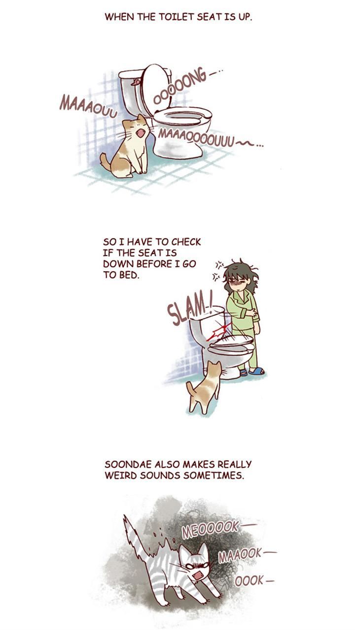 My Young Cat and My Old Dog Chapter 144 page 2 - Chapter 144 : Strange Timing