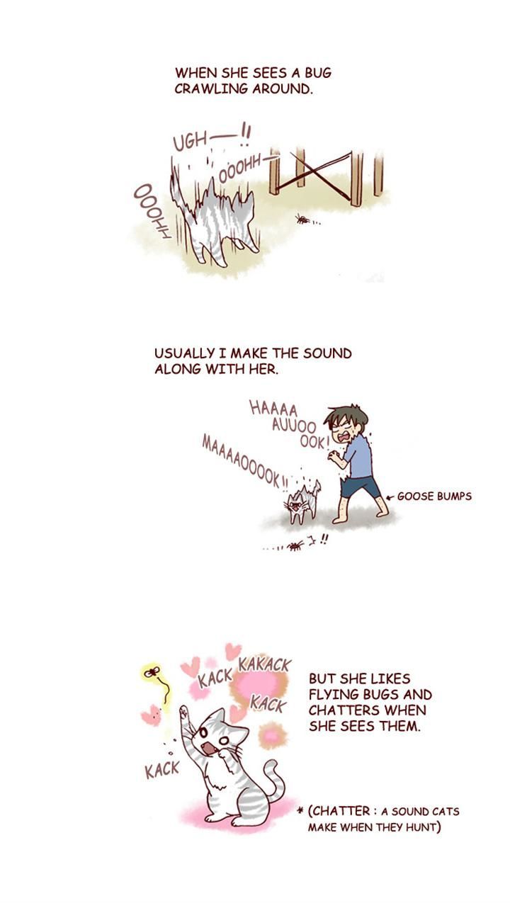My Young Cat and My Old Dog Chapter 144 page 3 - Chapter 144 : Strange Timing
