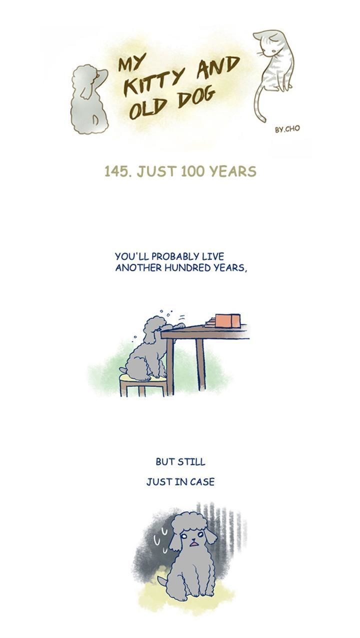 My Young Cat and My Old Dog Chapter 145 page 1 - Chapter 145 : Just 100 Years