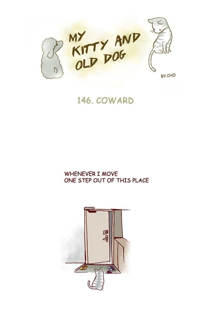 My Young Cat and My Old Dog Chapter 146 page 1 - Chapter 146 : Coward