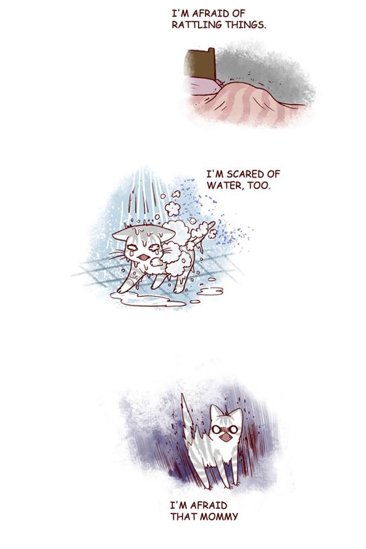 My Young Cat and My Old Dog Chapter 146 page 5 - Chapter 146 : Coward