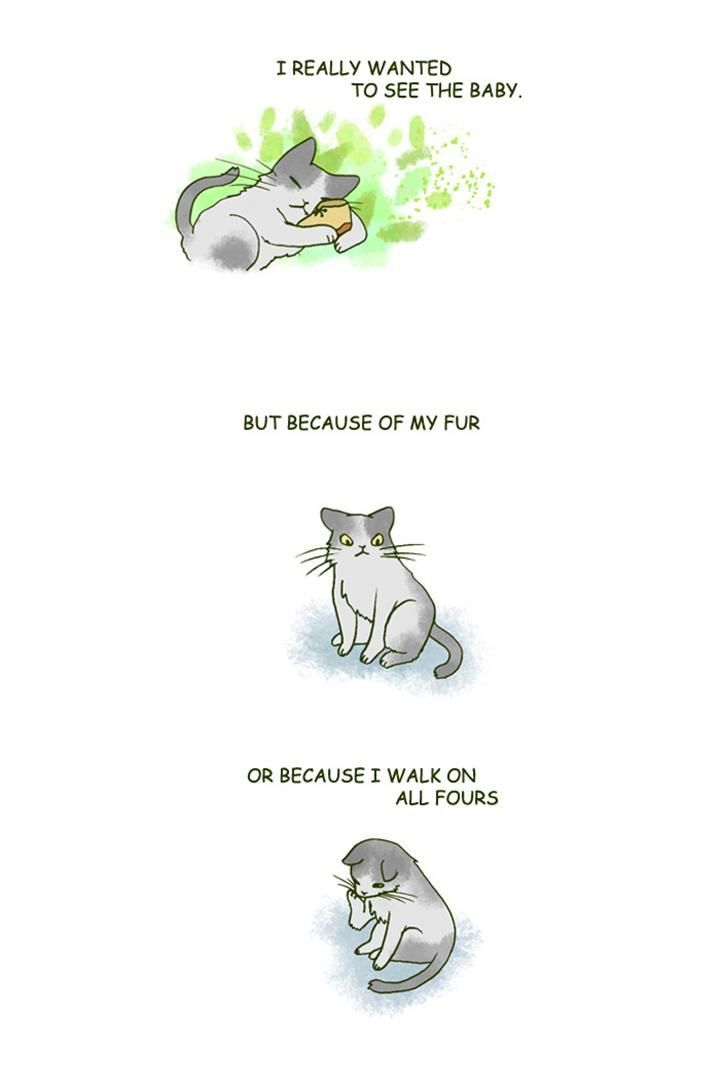 My Young Cat and My Old Dog Chapter 149 page 3 - Chapter 149 : The Baby