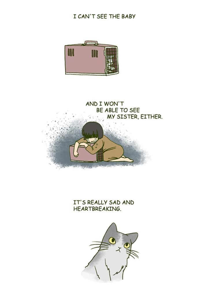 My Young Cat and My Old Dog Chapter 149 page 4 - Chapter 149 : The Baby
